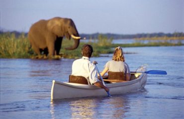 Victoria-Falls-Canoeing-Safari-500x334
