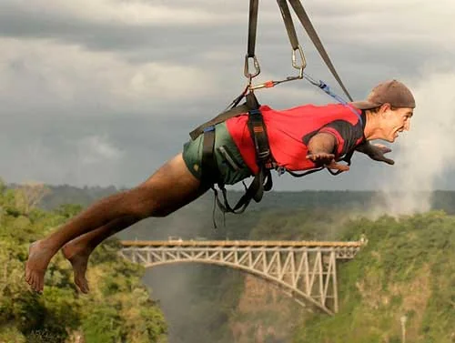 Flying fox