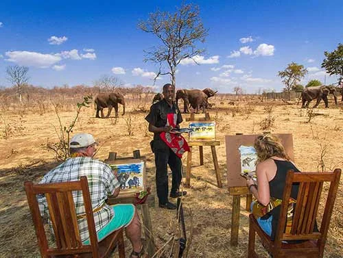 Guided Art Safari