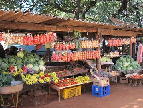The Dusty Road Township Experience: A Taste of Zimbabwean Culture in Victoria Falls