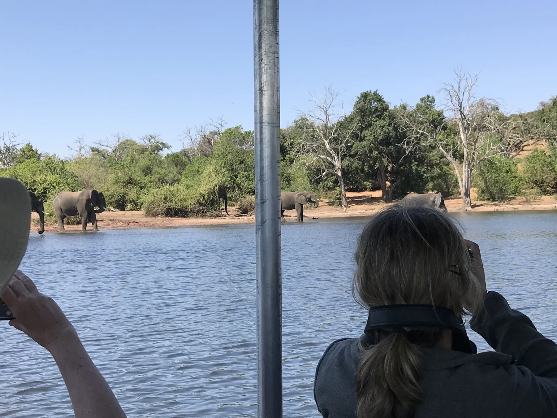 Mana Pools